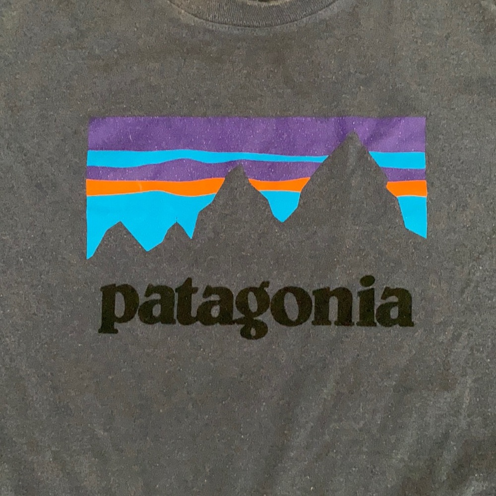 Patagonia T-shirt
